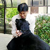 愛犬トトと